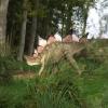 Rogowo - Park Dinozaurów 6, Grzegorz Binkiewicz