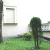 Rzeźby, Teresa Nowak