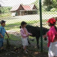 W oliwskim ZOO, Wojciech Soroka