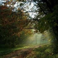 14.10.2008, godz. 8.10, Dolina Sąspowska, Kuba Terakowski