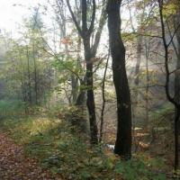 14.10.2008, godz. 8.00, Dolina Sąspowska, Kuba Terakowski
