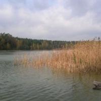 , Kuba Terakowski