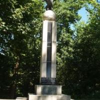Jastrzębia Góra, Darek