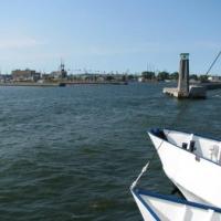 Port w Gdyni., Darek