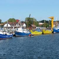 Port Rybacki w Jastarni., Darek