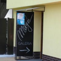 Galeria Adama Malysza, Darek
