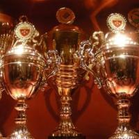 Trofea zdobyte przez Adama Małysza, Darek