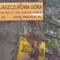 po drodze..., Ola Dzitkowska