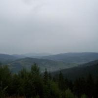 , Ola Dzitkowska