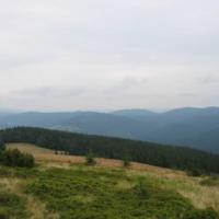 , Ola Dzitkowska