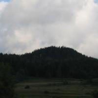 , Ola Dzitkowska