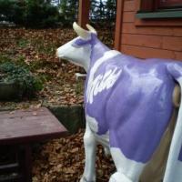 muuuu :), Ola Dzitkowska