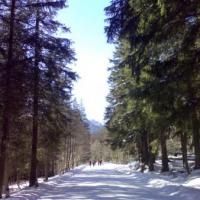 Palenica Białczańska - początek Drogi Oswalda Balzera - tędy nad Morskie Oko, Michał Małek