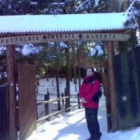 wejście do ogrodu sióstr albertynek, na terenie którego znajduje się chatka brata Alberta, Michał Małek