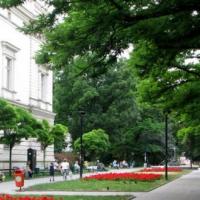 Piotrkowska w zieleni