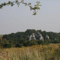 , Teresa Nowak