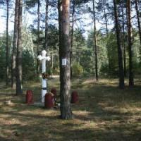 , Teresa Nowak