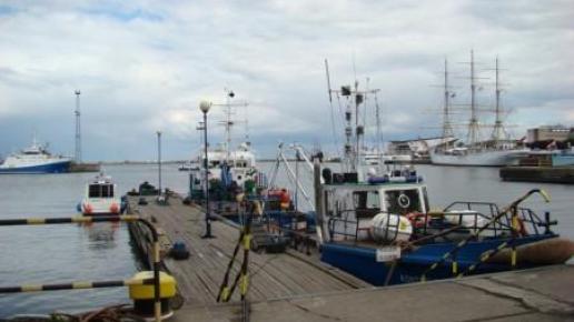 Port w Gdyni, Darek