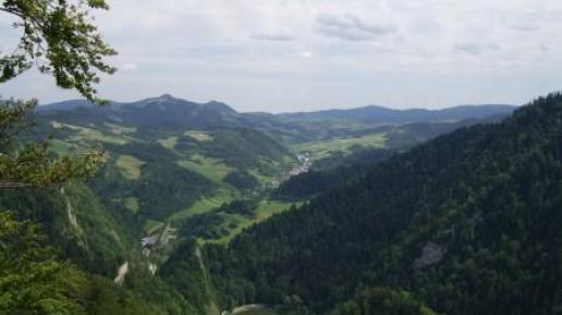 Widok z Sokolicy, Natalia Tomczyk