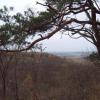 , Majka
