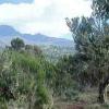 Maundi Crater, w głębi szczyt Mawenzi, Tanzania, Kuba Terakowski