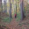 Park Krajobrazowy Chełmy, Darek