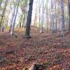 Park Krajobrazowy Chełmy, Darek