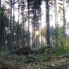 Park Krajobrazowy Chełmy, Darek