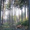 Park Krajobrazowy Chełmy, Darek