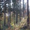 Park Krajobrazowy Chełmy, Darek