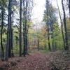 Park Krajobrazowy Chełmy, Darek