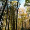 Park Krajobrazowy Chełmy, Darek