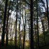 Park Krajobrazowy Chełmy, Darek