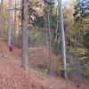 Park Krajobrazowy Chełmy, Darek