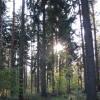 Park Krajobrazowy Chełmy, Darek