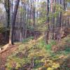 Park Krajobrazowy Chełmy, Darek