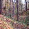 Park Krajobrazowy Chełmy, Darek