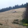 chatka po drodze, gaba