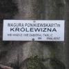 , Ola Dzitkowska
