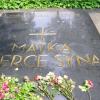 Matka i Serce Syna, Grzegorz Binkiewicz