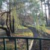 park, Katarzyna Jamrozik