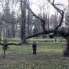 park, Katarzyna Jamrozik