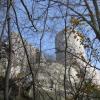 , Marek Weber