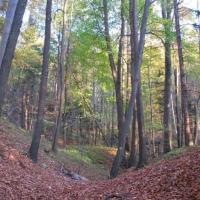 Park Krajobrazowy Chełmy, Darek