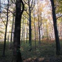 Park Krajobrazowy Chełmy, Darek
