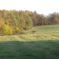 Park Krajobrazowy Chełmy, Darek