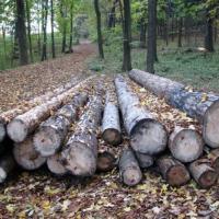 Park Krajobrazowy Chełmy, Darek