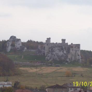 ogrodzieńiec - zdjęcie