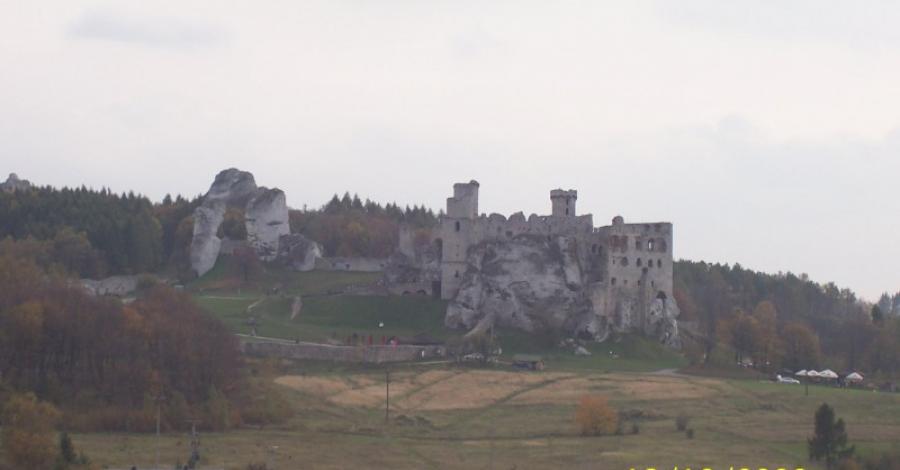 ogrodzieńiec - zdjęcie