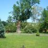 , Agnieszka